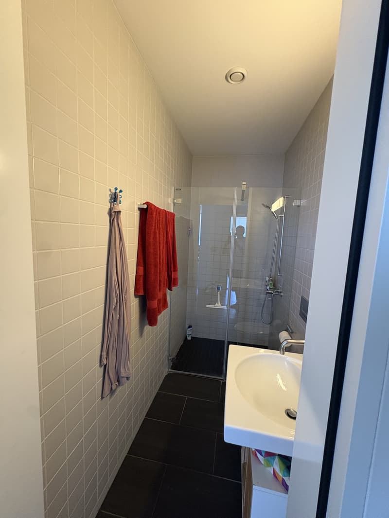 Helle 3.5-Zimmer-Wohnung mit grosszügigem 30-m²-Balkon (7)