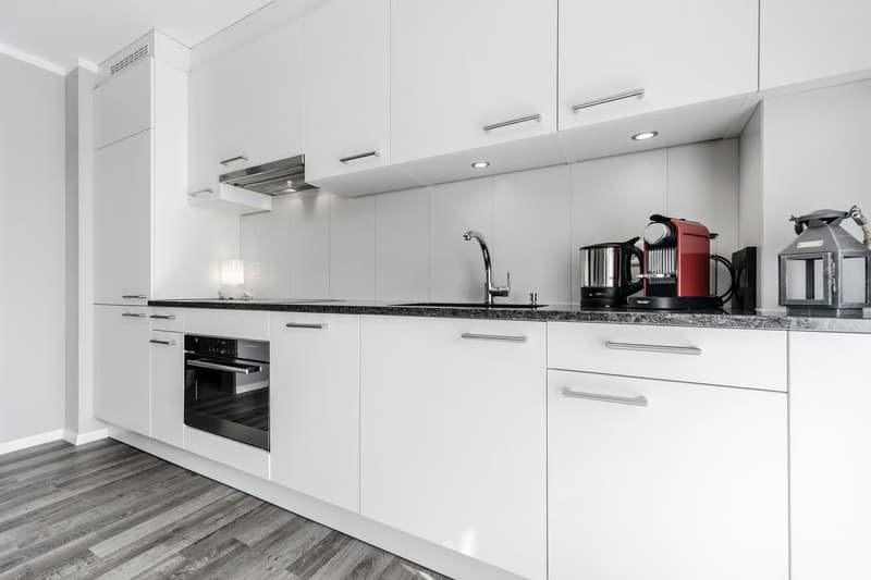 Modern 1.5-room apartment for rent in Zurich-Oerlikon (3)