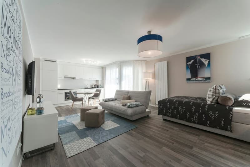 Modern 1.5-room apartment for rent in Zurich-Oerlikon (2)