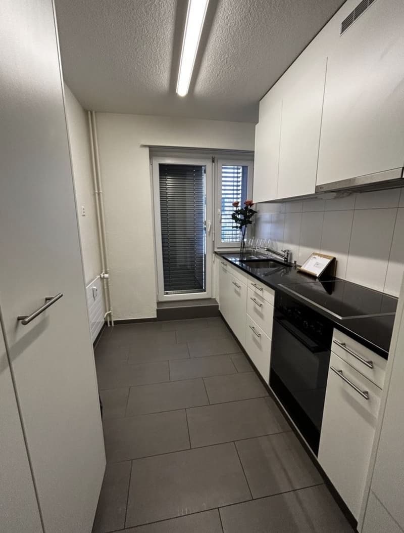 Schöne 2-Zimmerwohnung an bester Lage (Kreis 3) (3)