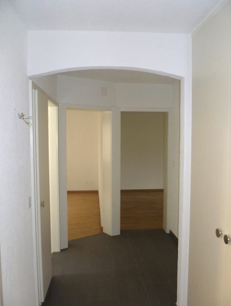 Schöne 2-Zimmerwohnung an bester Lage (Kreis 3) (1)