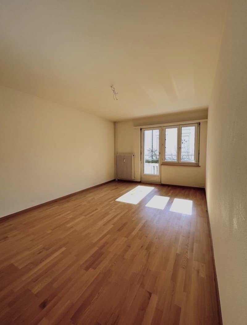 Schöne 2-Zimmerwohnung an bester Lage (Kreis 3) (6)