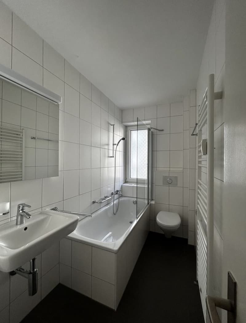 Schöne 2-Zimmerwohnung an bester Lage (Kreis 3) (4)