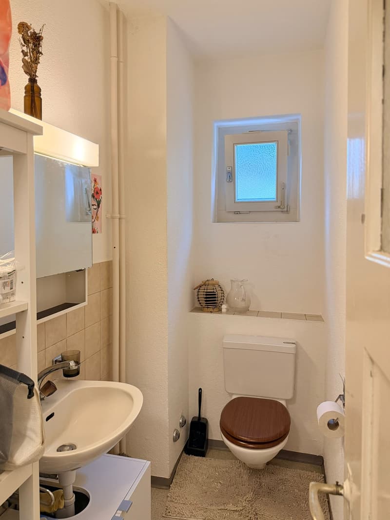 Cozy & Sunny 3-Room Apartment in Wipkingen, Zurich (Sept 2026 Sept 2027) (6)