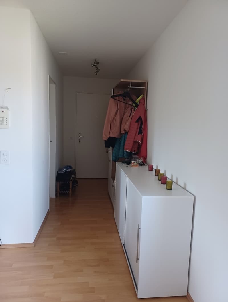 2 ½ rooms apartment, 8047 Zurich (1)