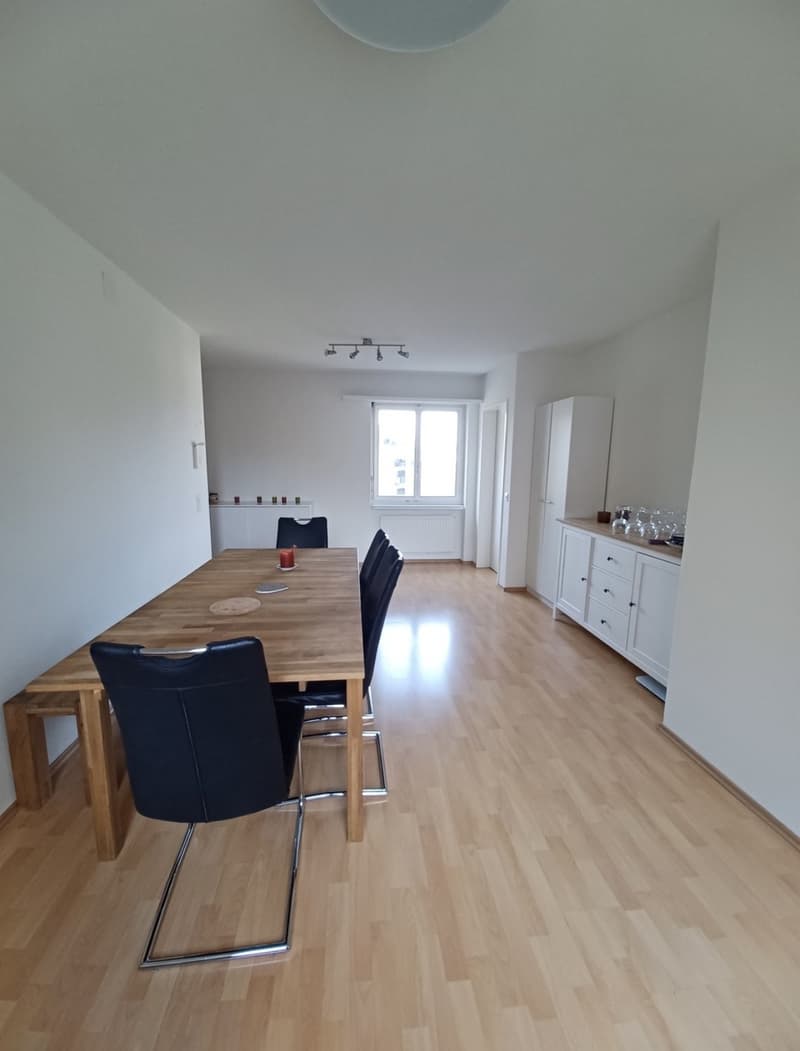 2 ½ rooms apartment, 8047 Zurich (2)