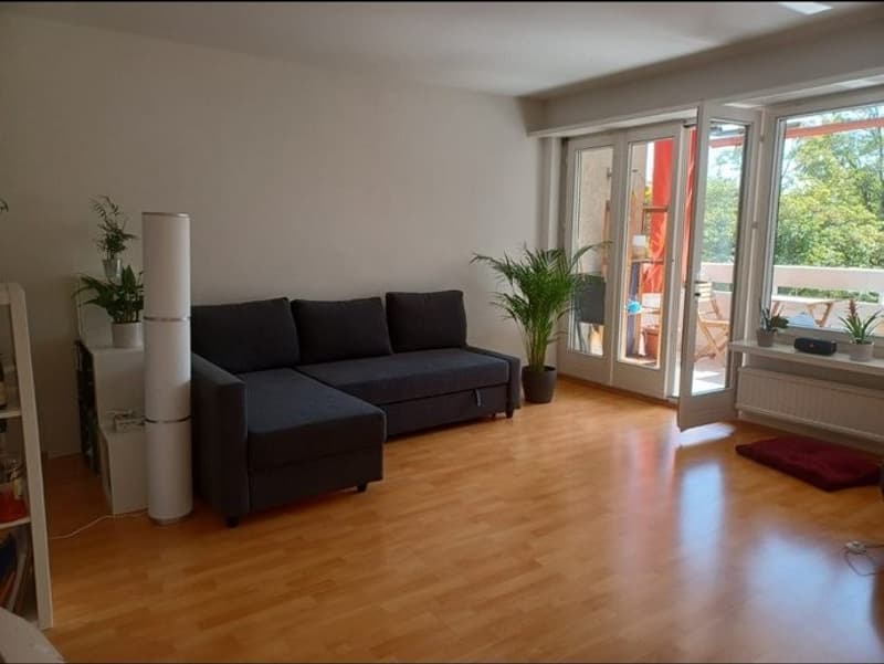 2 ½ rooms apartment, 8047 Zurich (5)