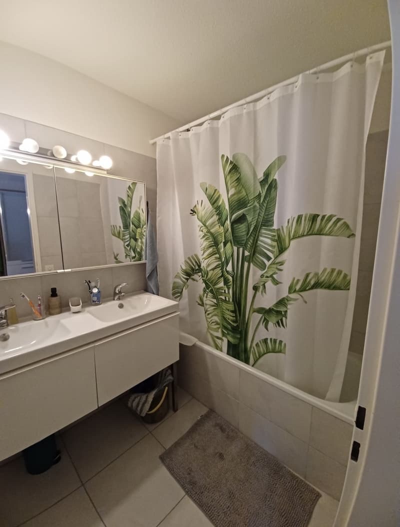 2 ½ rooms apartment, 8047 Zurich (4)
