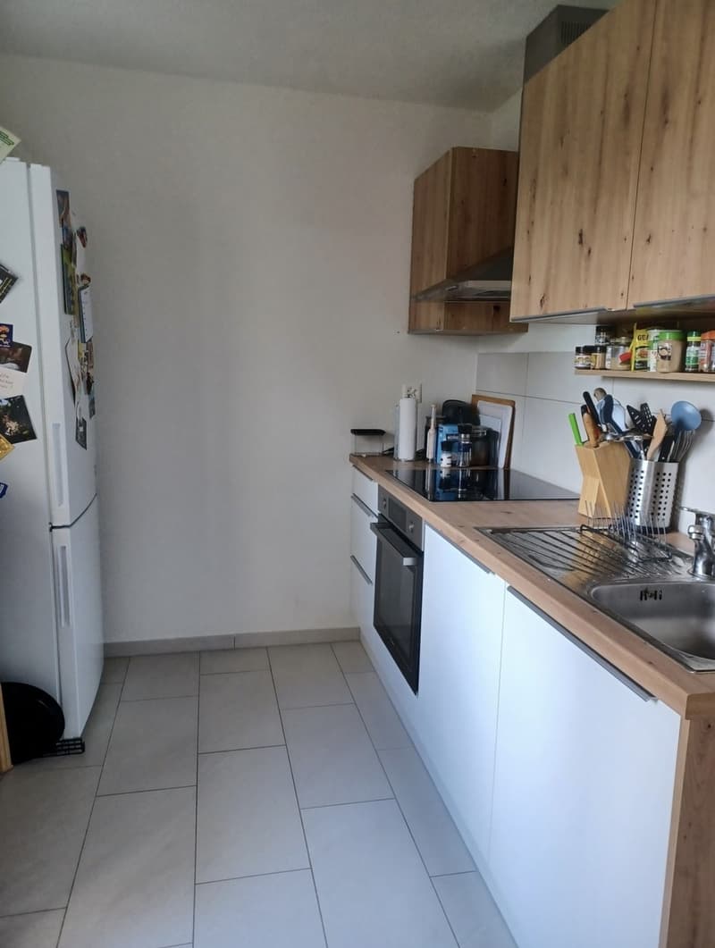 2 ½ rooms apartment, 8047 Zurich (3)
