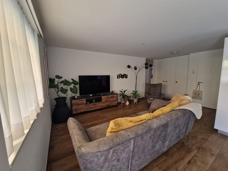 schöne 3.5 Zimmerwohnung sucht Nachmieter (3)