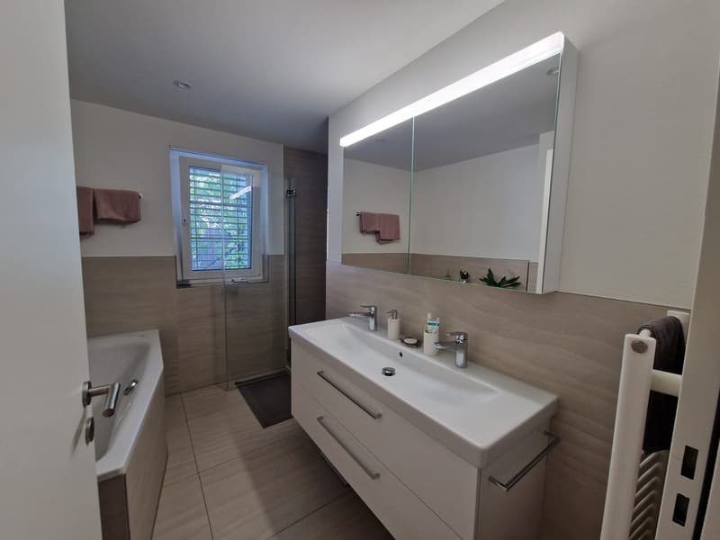 schöne 3.5 Zimmerwohnung sucht Nachmieter (6)