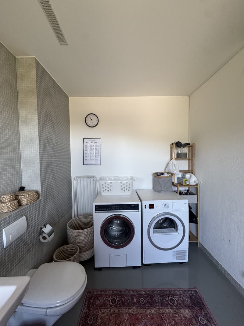 4.5-Zimmer-Wohnung in Winterthur Untermiete ab November 2026 (7)