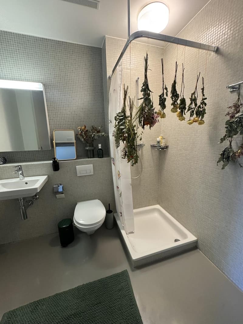 4.5-Zimmer-Wohnung in Winterthur Untermiete ab November 2026 (8)