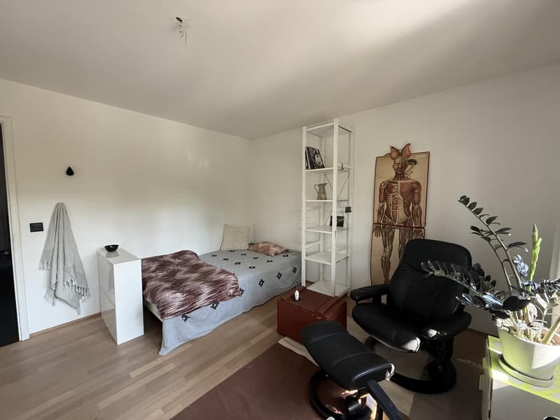 Large furnitured room in Liebefeld (2)