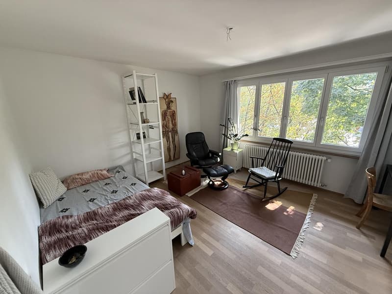 Large furnitured room in Liebefeld (1)
