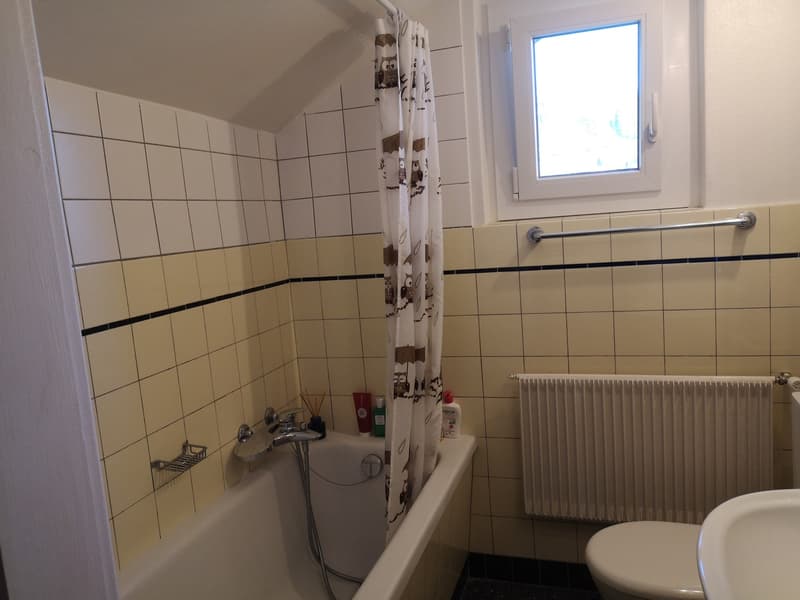 Reprise de bail appartement 3.5 pièces (7)