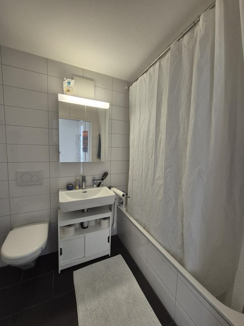 Möblierte 2.5-Zimmer-Wohnung mit grossem Balkon in Zürich-Altstetten (7)