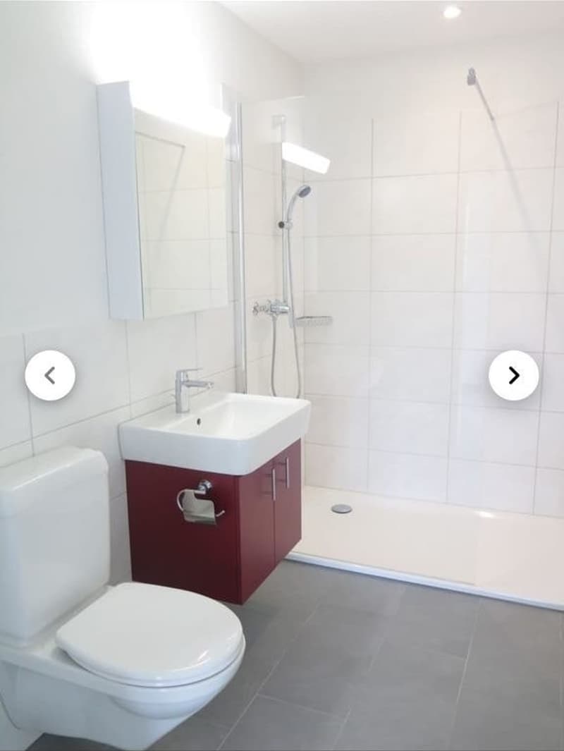 Modernes & Grünes Wohnen in der Brugger Aue. (4)