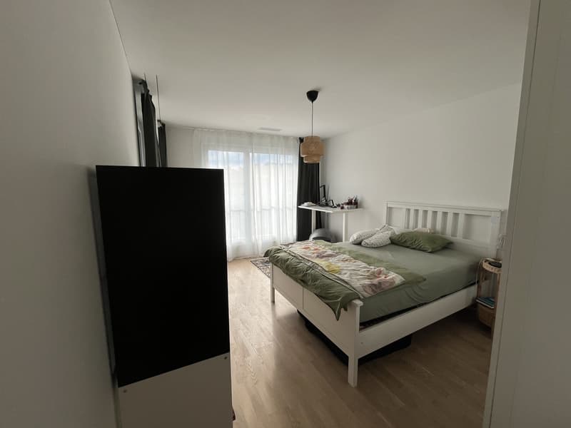 2.5 Zimmer Wohnung im Herzen von Horw (3)