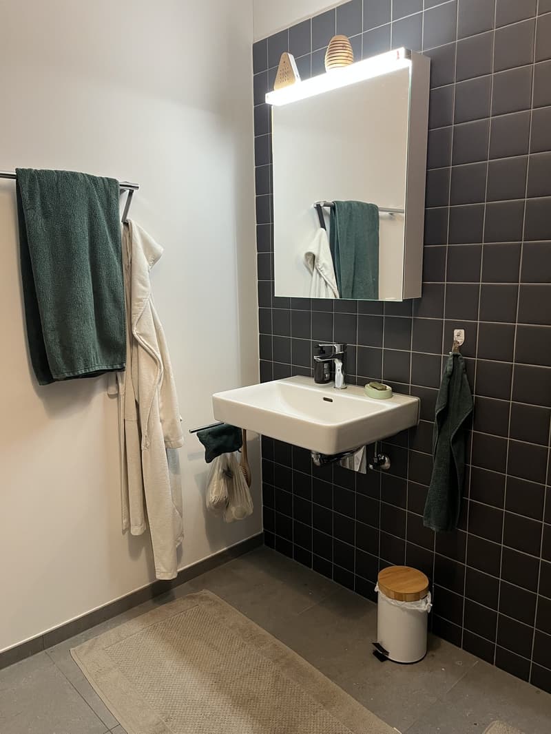 2.5 Zimmer Wohnung im Herzen von Horw (6)