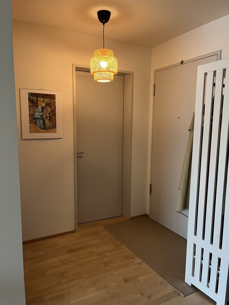 2.5 Zimmer Wohnung im Herzen von Horw (7)