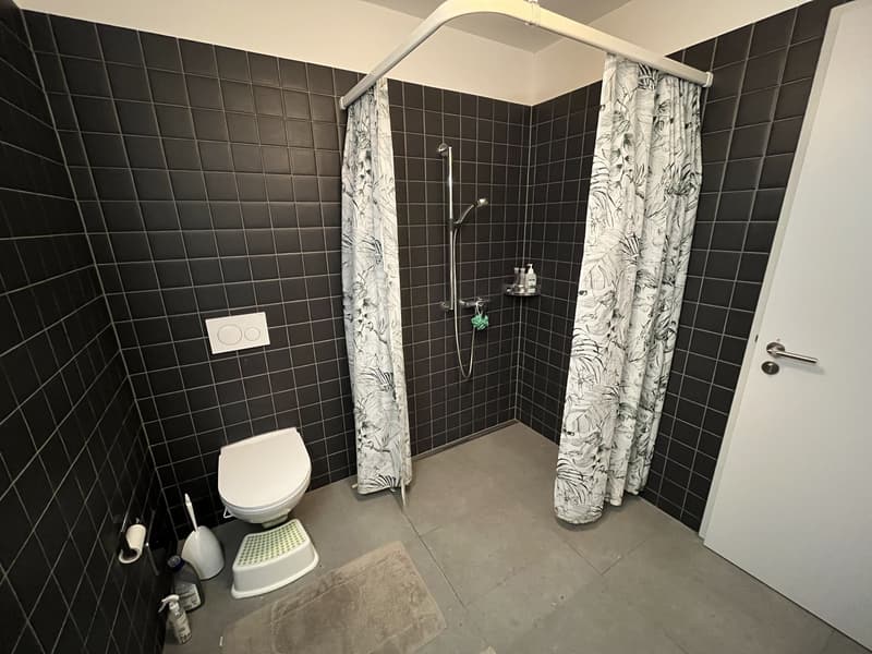 2.5 Zimmer Wohnung im Herzen von Horw (5)