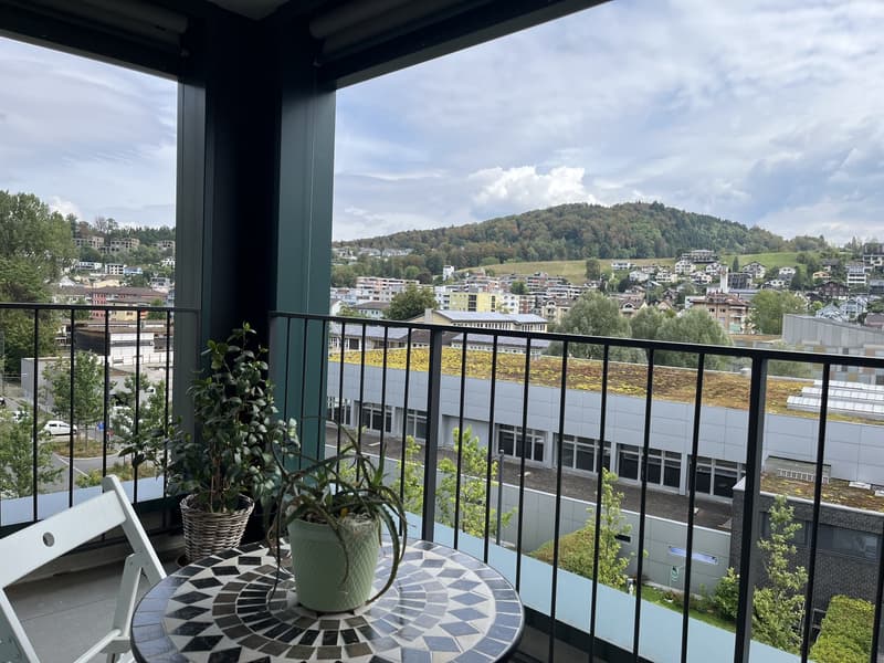 2.5 Zimmer Wohnung im Herzen von Horw (9)
