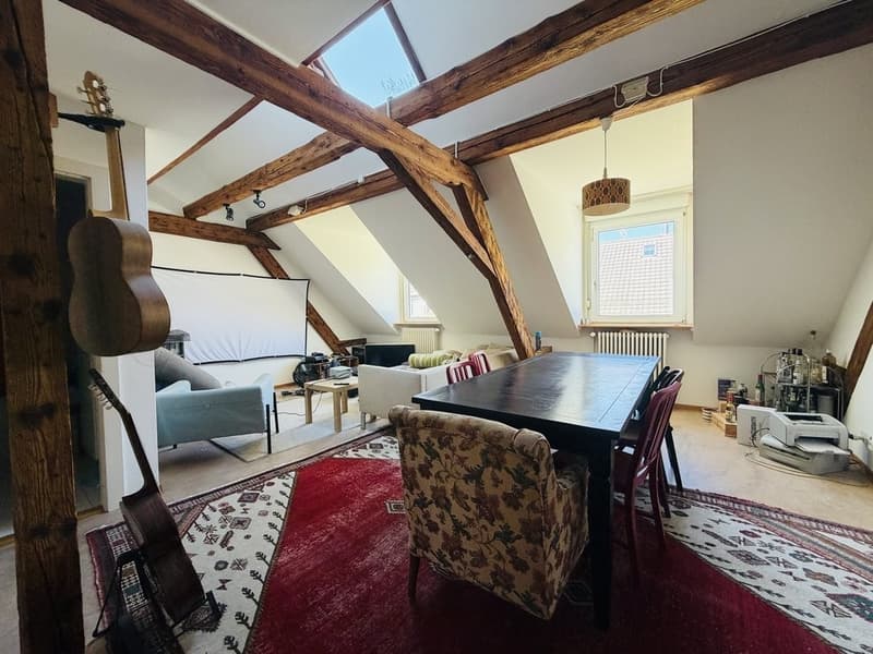 WG Zimmer im Zentrum Basel (1)