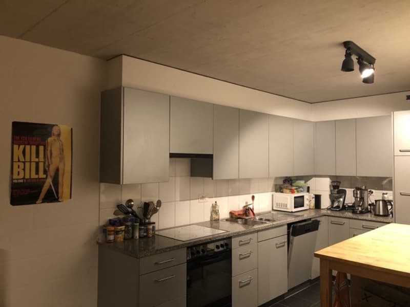 WG Zimmer, 8400 Winterthur (3)