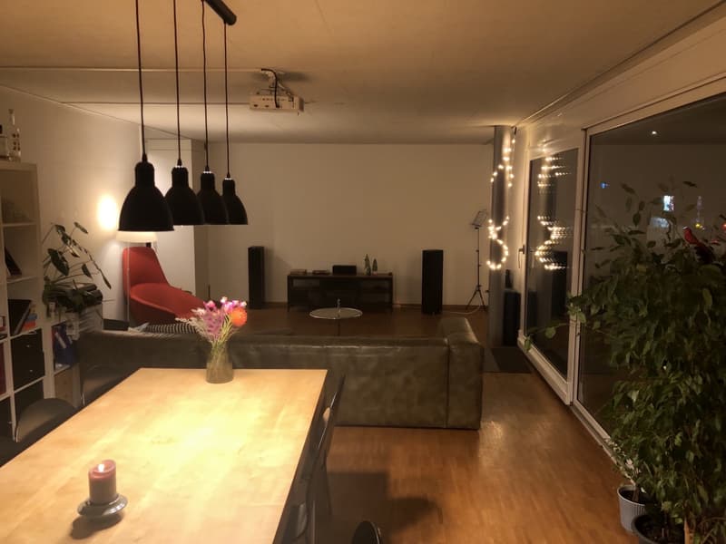 WG Zimmer, 8400 Winterthur (2)