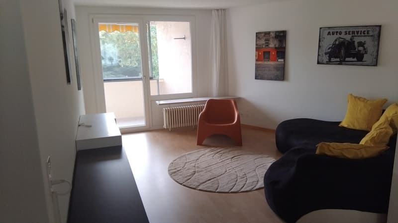Möbliertes Zimmer mit Balkon und Waldblick in Rombach bei Aarau (5)