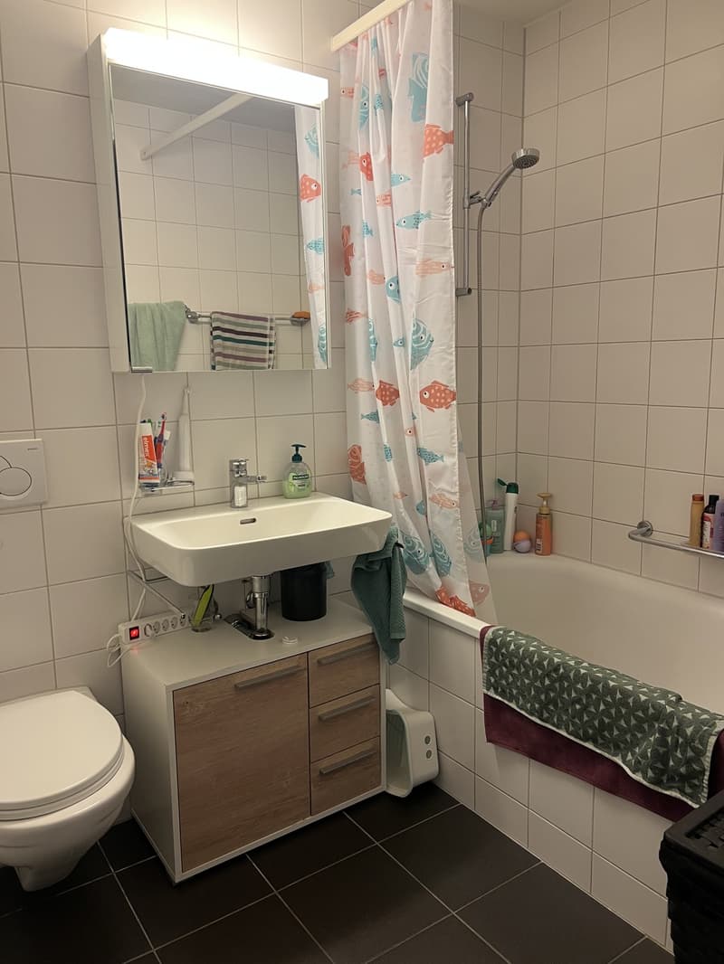 4.5Zimmer Wohnung in Rüfenacht (5)