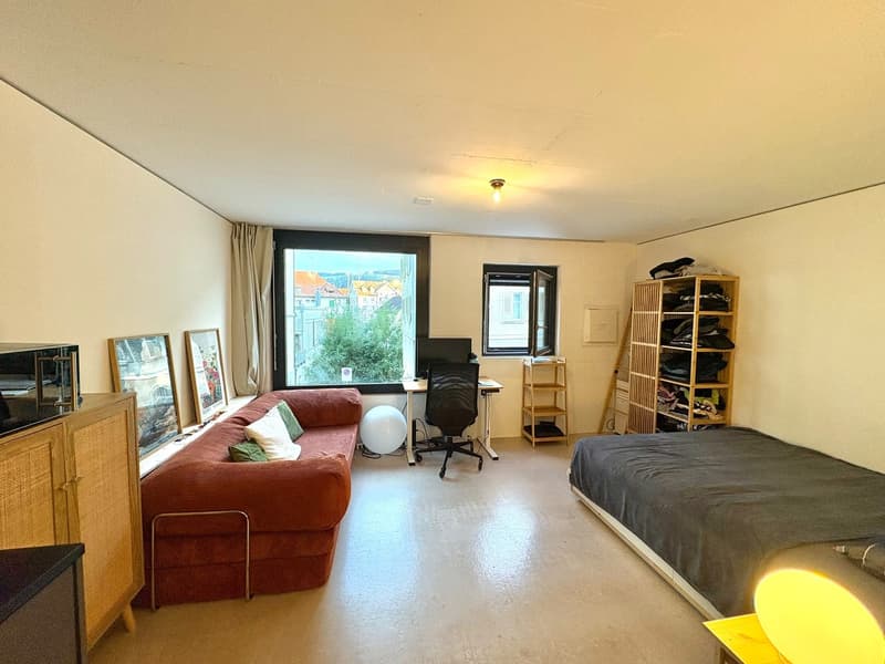 Moderne grosszügige 1-Zimmer-Wohnung (1)