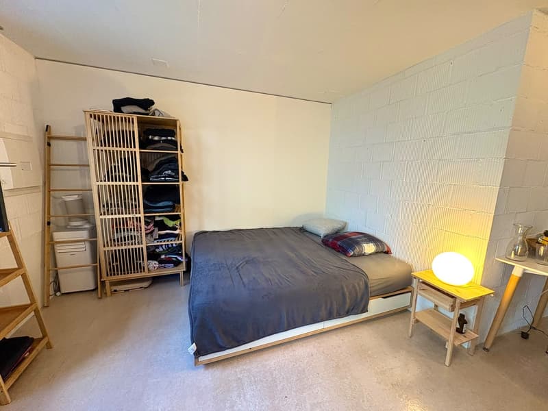 Moderne grosszügige 1-Zimmer-Wohnung (4)