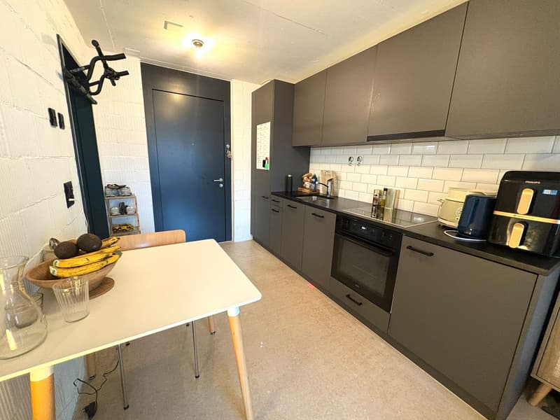 Moderne grosszügige 1-Zimmer-Wohnung (3)