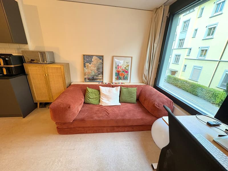 Moderne grosszügige 1-Zimmer-Wohnung (2)