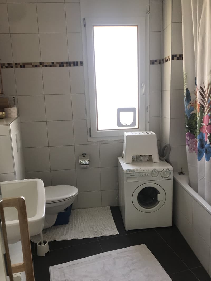 Appartement meublé 2 chambres en rez terrasse à sous-louer dès le 1er septembre (4)