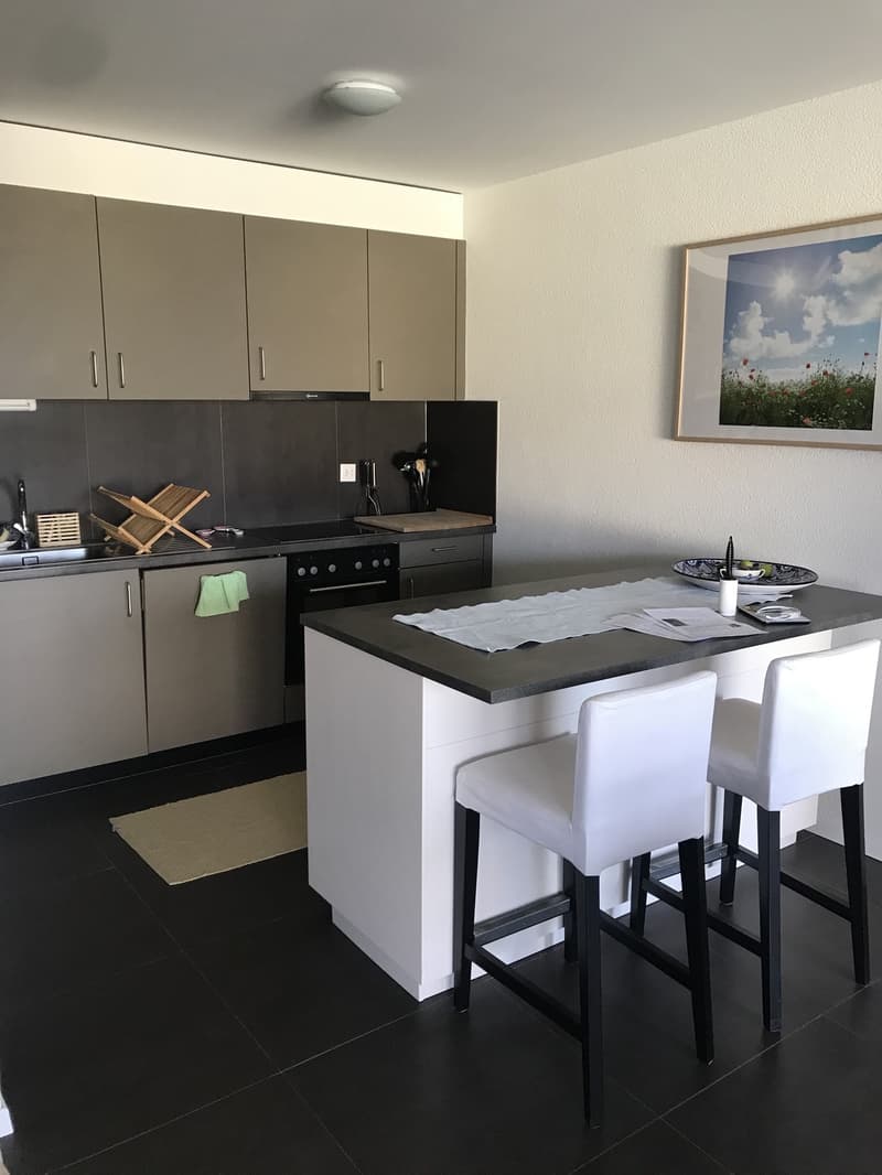 Appartement meublé 2 chambres en rez terrasse à sous-louer dès le 1er septembre (2)