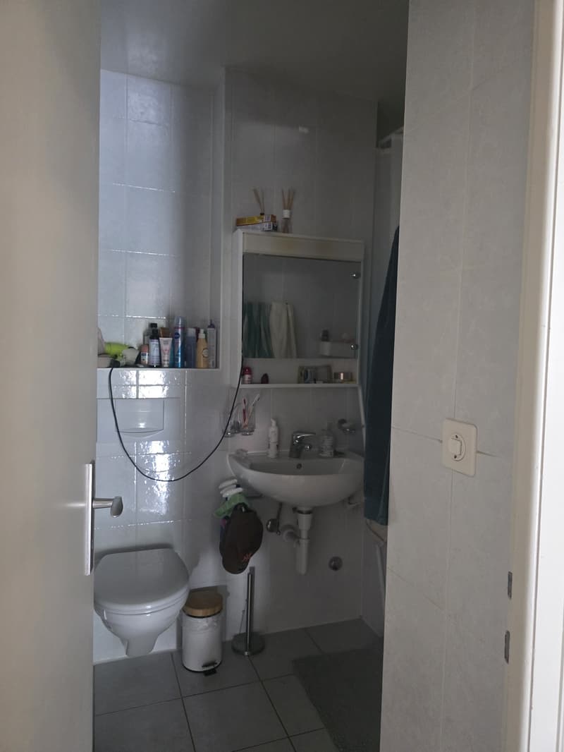 Reprise de bail Spacieux 2,5 pièces d'env. 60 m² avec 2 balcons Écublens (5)