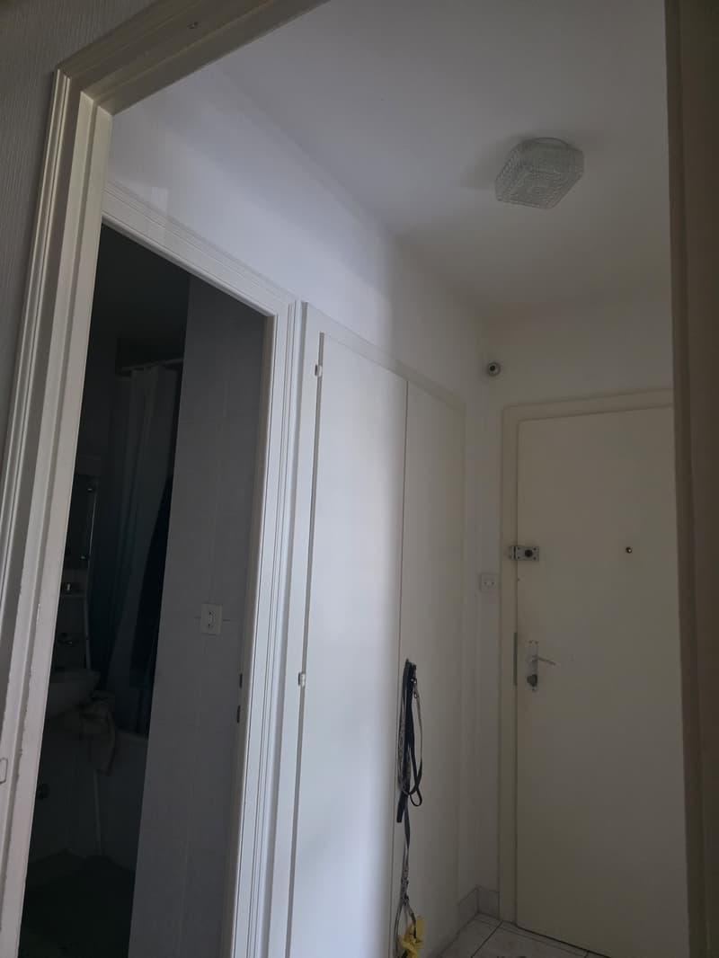 Reprise de bail Spacieux 2,5 pièces d'env. 60 m² avec 2 balcons Écublens (6)