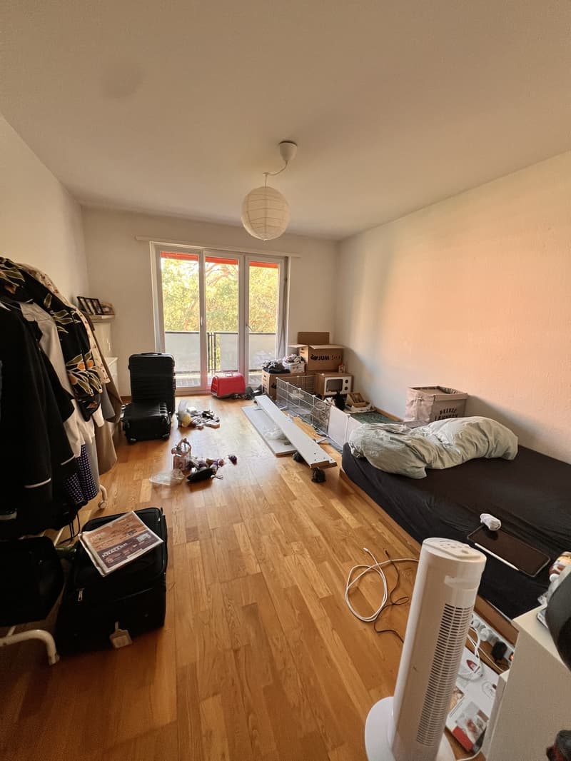 Schöne 1-Zimmerwohnung in Zürich (befristet bis 03.2027) (1)