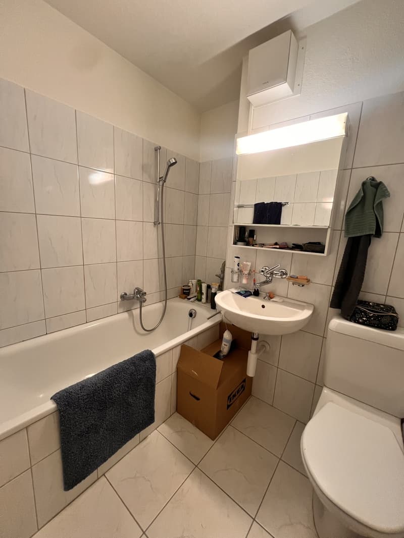 Schöne 1-Zimmerwohnung in Zürich (befristet bis 03.2027) (2)