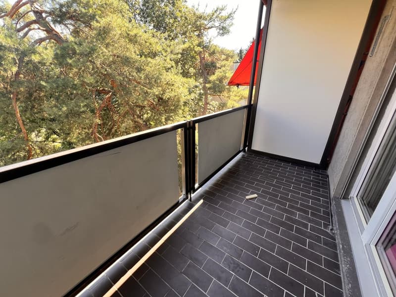 Schöne 1-Zimmerwohnung in Zürich (befristet bis 03.2027) (5)