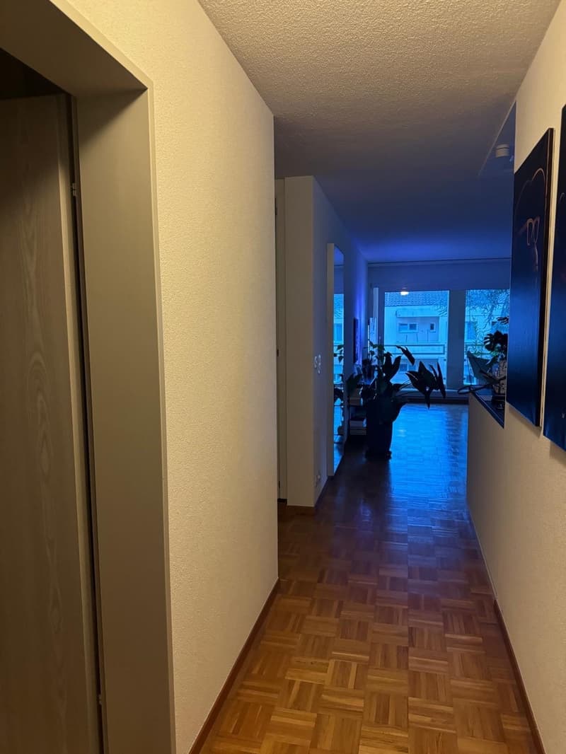 Room in spacious & modern shared flat - Pully (3)