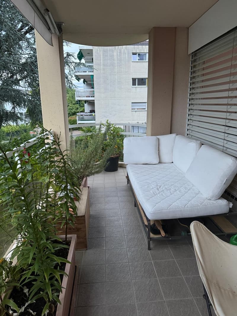 Room in spacious & modern shared flat - Pully (2)