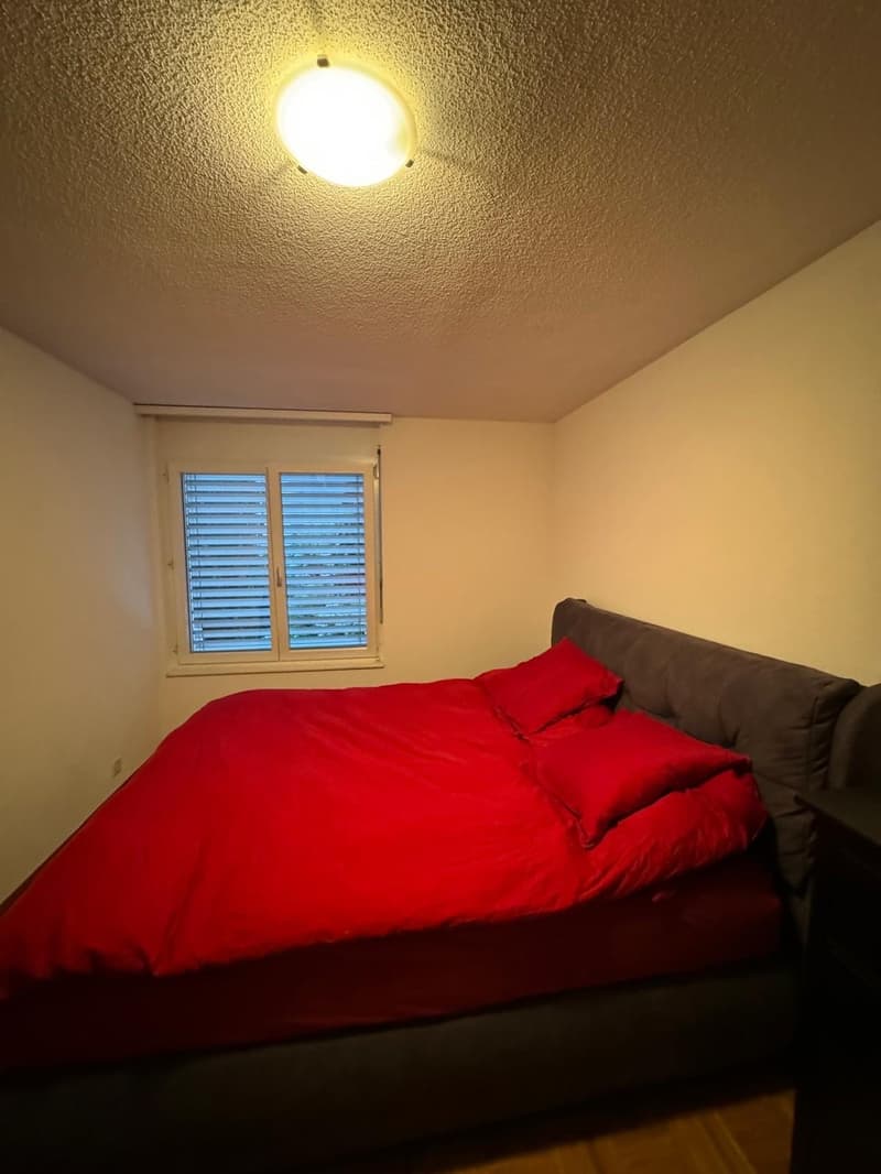 Room in spacious & modern shared flat - Pully (4)