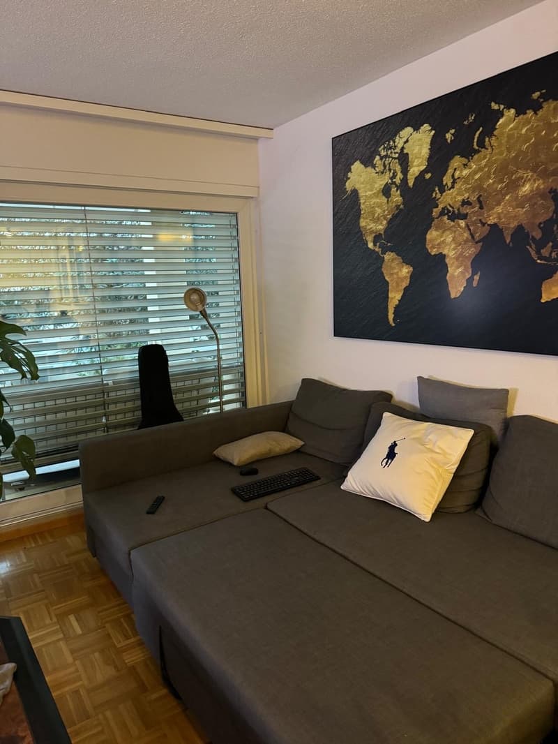 Room in spacious & modern shared flat - Pully (5)