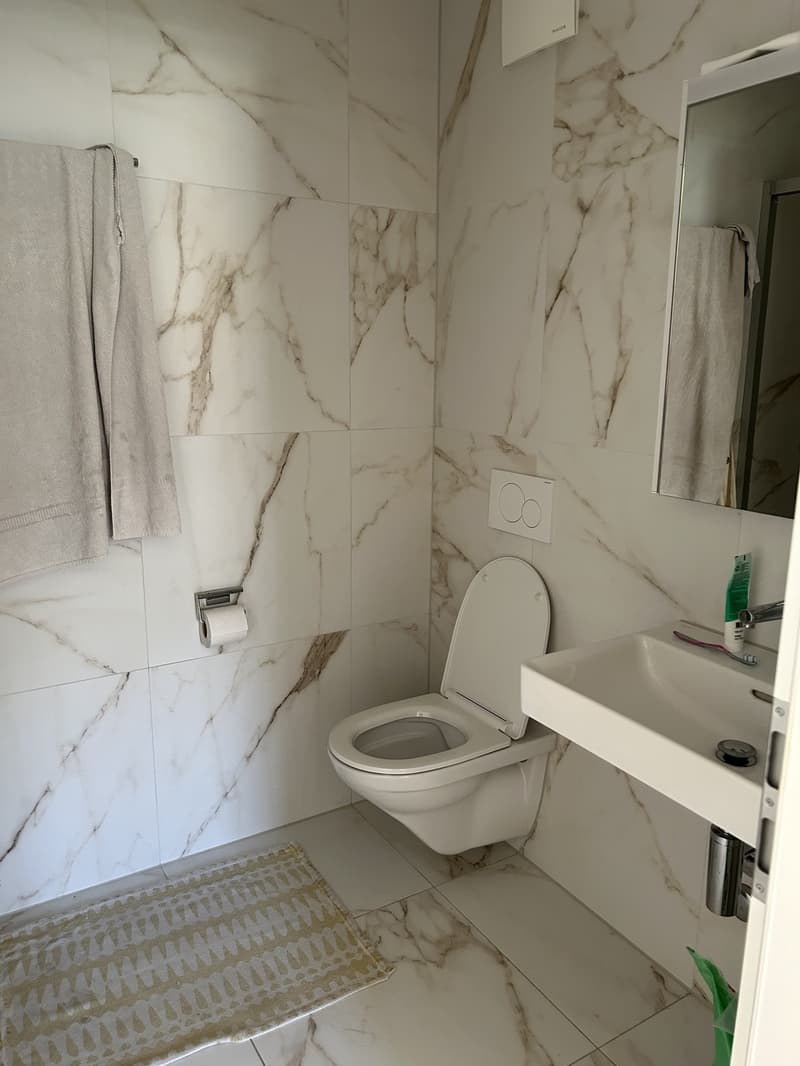 2 ½ Zimmer-Wohnung, 4950 Huttwil (2)