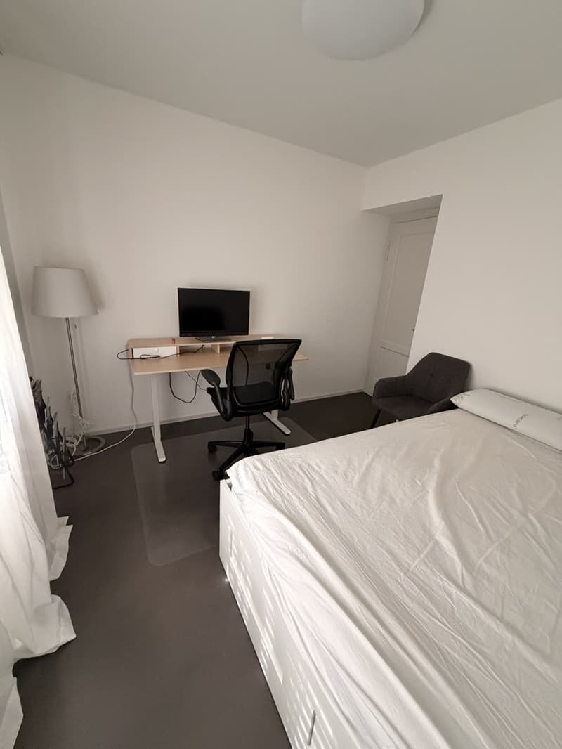 Furnished room in a shared 3.5-room flat  Zürich Enge (3)