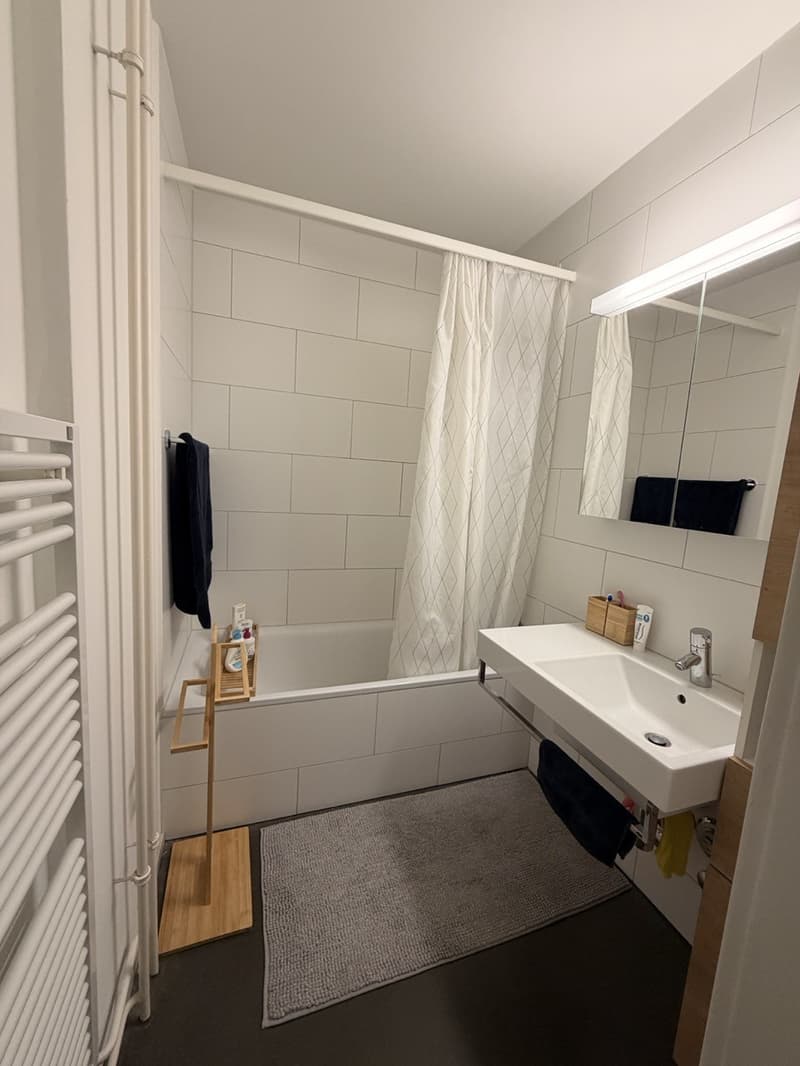 Furnished room in a shared 3.5-room flat  Zürich Enge (6)